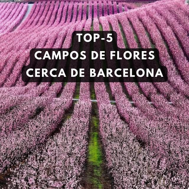  ........._barcelona   'recent posts' 