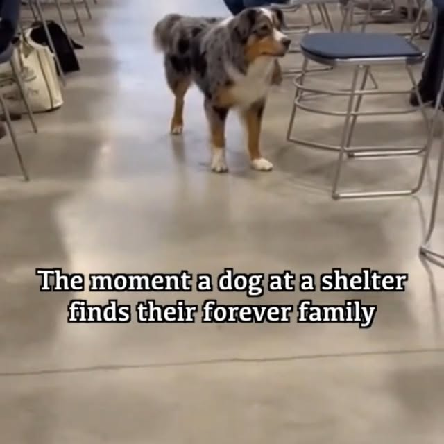  .....sland   'recent posts' 