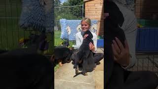  .......ler Life  'recent videos' 