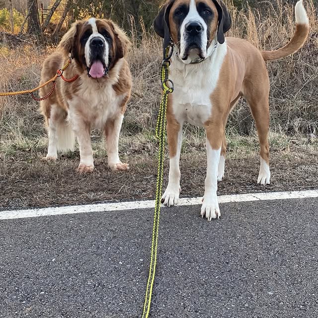  .........intbernard   'recent posts' 