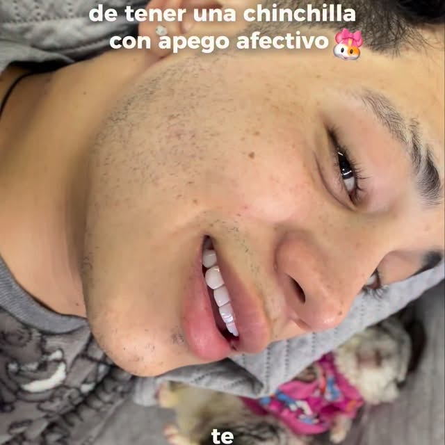  ........del_exito   'recent posts' 