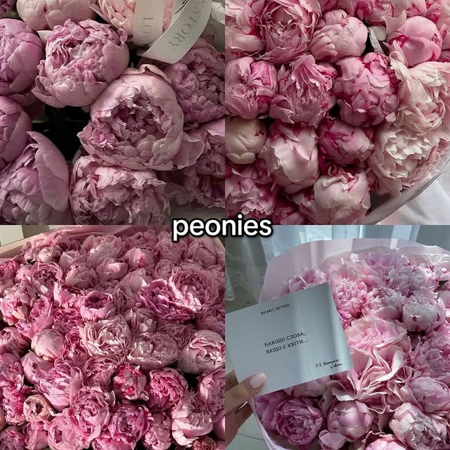  ......rlrise   'recent posts' 