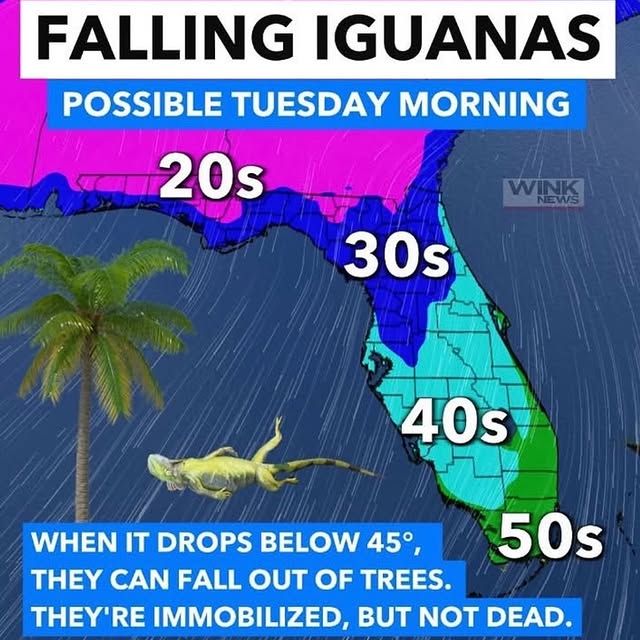  .....lorida   'recent posts' 