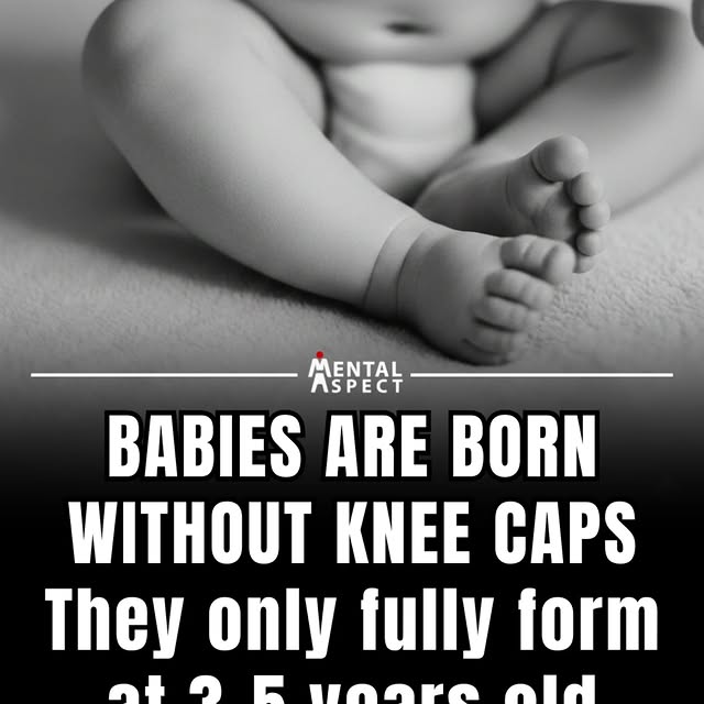  .......aspect   'recent posts' 