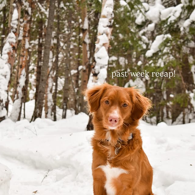  ......atoller   'recent posts' 