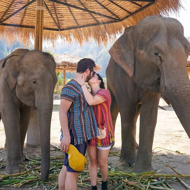  ....olson   'recent posts' 