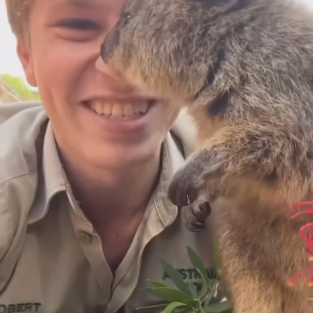  ......quokkas   'recent posts' 