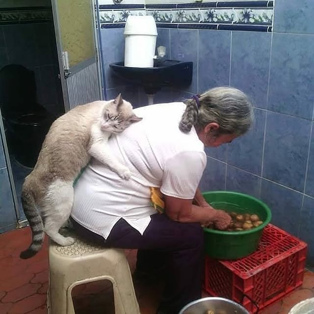  .....amous   'recent posts' 