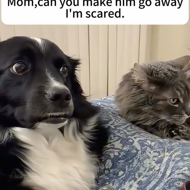  ....fday   'recent posts' 