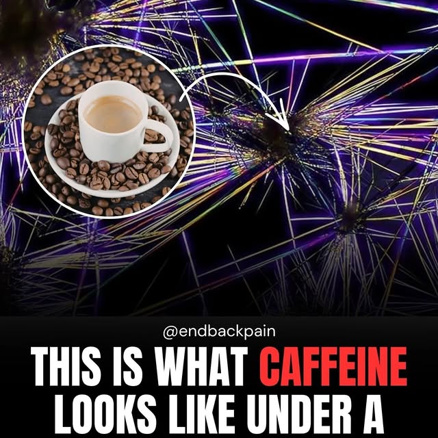  .....ckpain   'recent posts' 