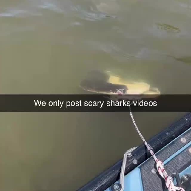  .........arkattacks   'recent posts' 