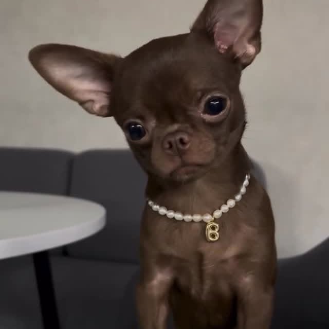  .......uapuppy   'recent posts' 