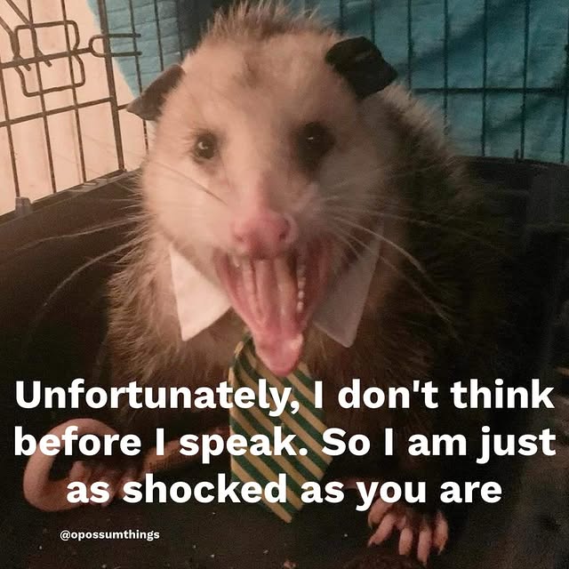  ......mthings   'recent posts' 