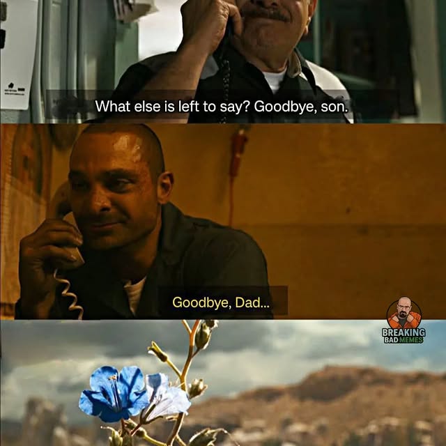  .........bad_memes0   'recent posts' 