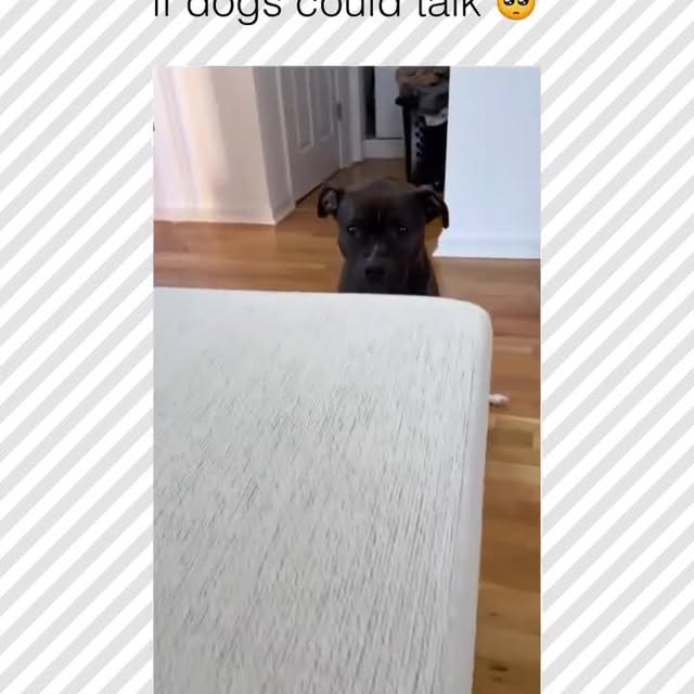  ......rposts   'recent posts' 