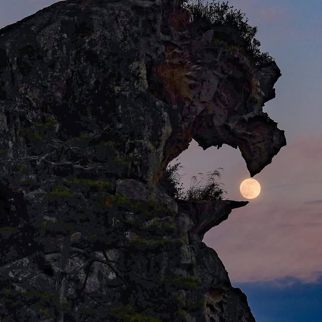  ........ionfervor   'recent posts' 