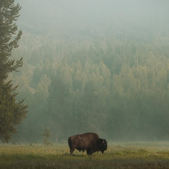  .........dventures   'recent posts' 