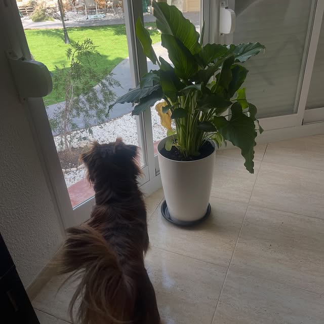  .....og2020   'recent posts' 