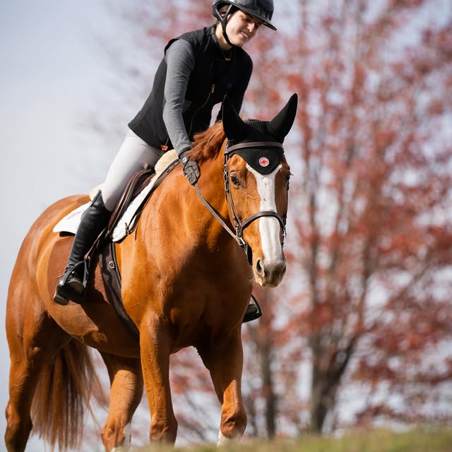  .....hulse   'recent posts' 