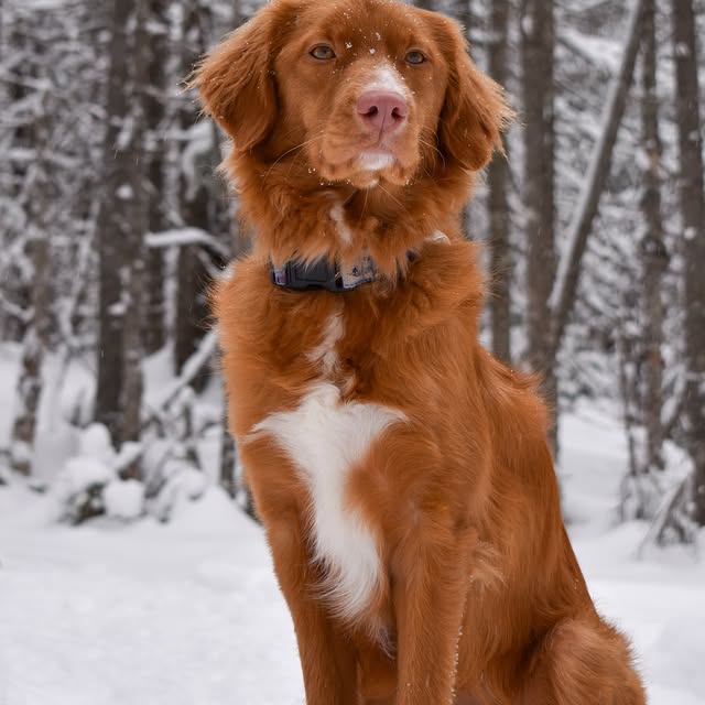  ......atoller   'recent posts' 