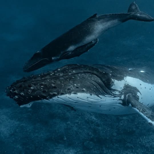  ......uecoast   'recent posts' 