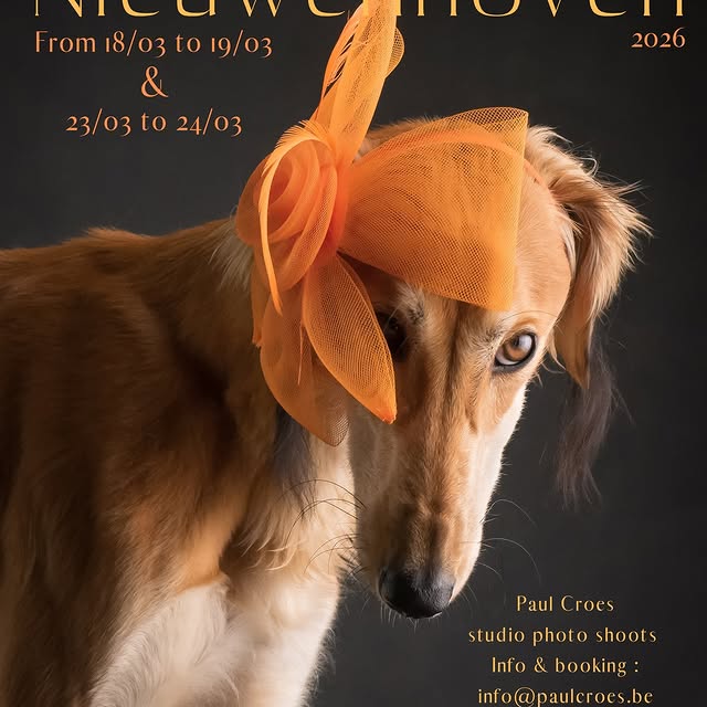  ..........hotography   'recent posts' 