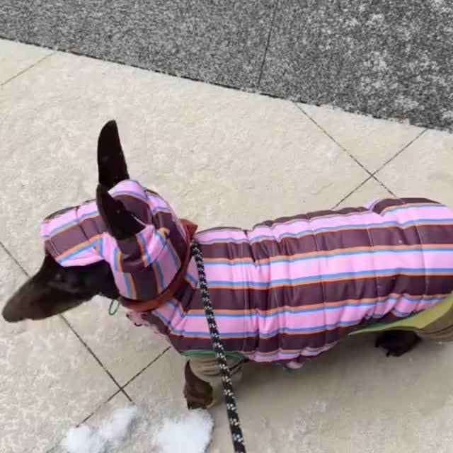  ..........fan.club_   'recent posts' 