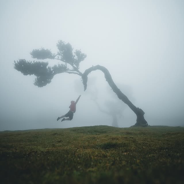  ......otsbymb   'recent posts' 