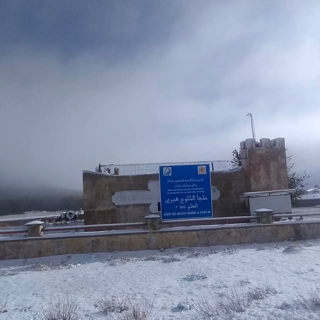  ......my_city   'recent posts' 