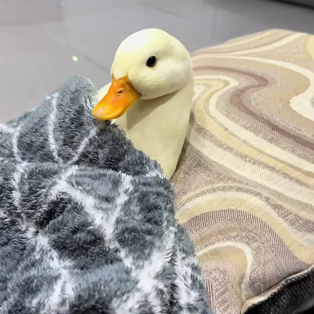  ........ckstatue   'recent posts' 