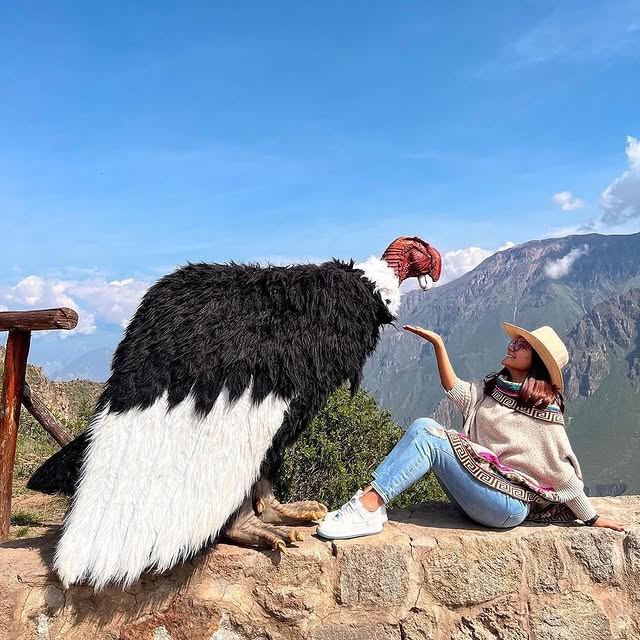  ........ionfervor   'recent posts' 