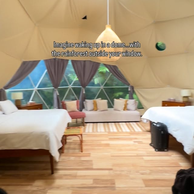  ........iewpoint   'recent posts' 