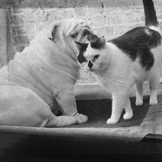  ......rwhite   'recent posts' 