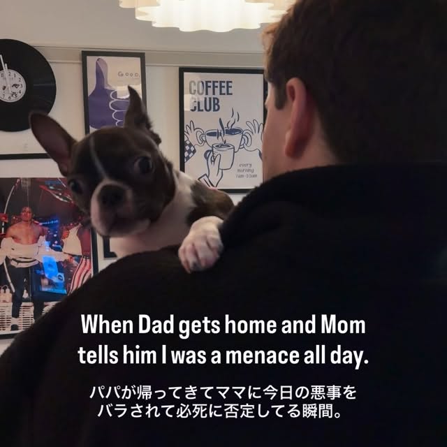  ........pizzalife   'recent posts' 