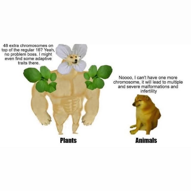  .....0shit   'recent posts' 