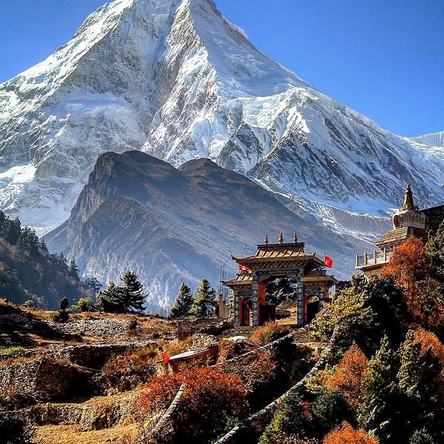  ......sfervor   'recent posts' 