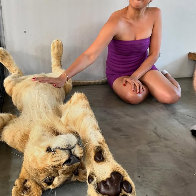  ......a.naik   'recent posts' 