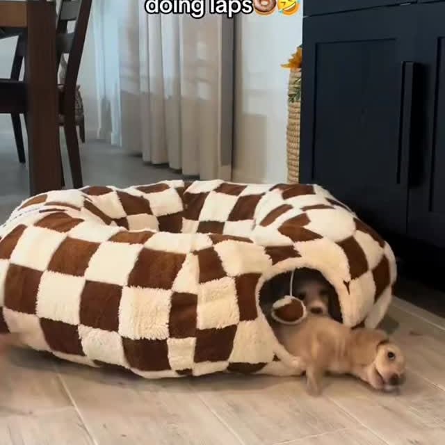  ..........fan.club_   'recent posts' 