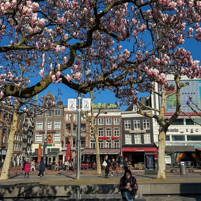  .......amworld   'recent posts' 