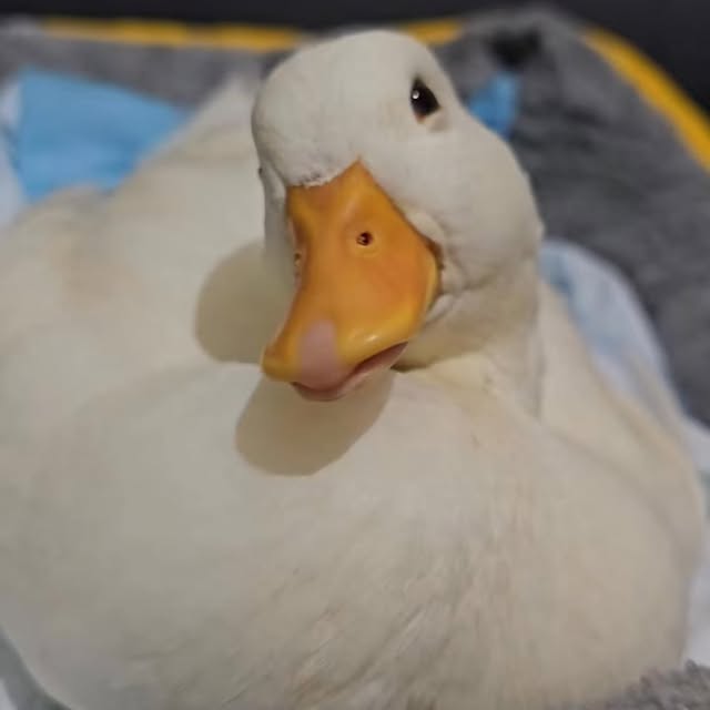  ........ckstatue   'recent posts' 