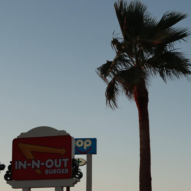  .....wilks   'recent posts' 