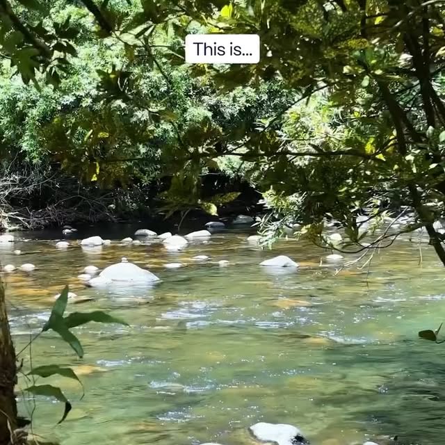  .....lsclub   'recent posts' 