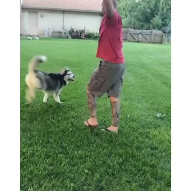  .....ibess   'recent posts' 