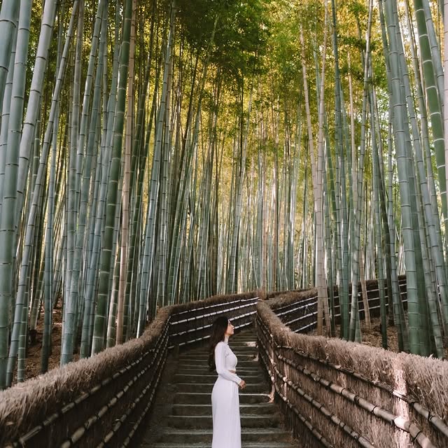  ..........altraveler   'recent posts' 