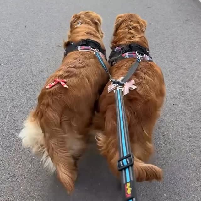  ......orable   'recent posts' 