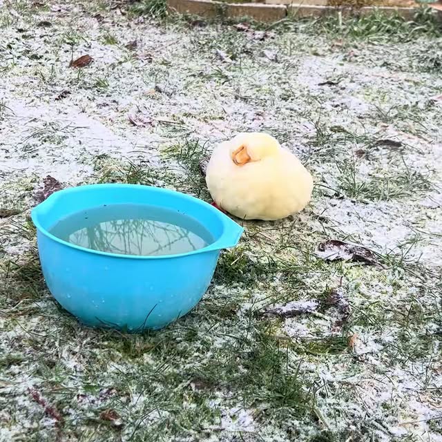  ........ckstatue   'recent posts' 