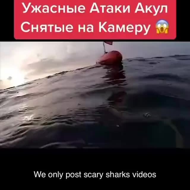  .........arkattacks   'recent posts' 