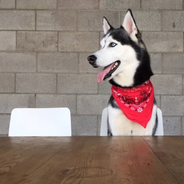  .....tmiles   'recent posts' 