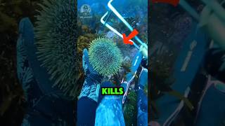  .....azify  'recent videos' 