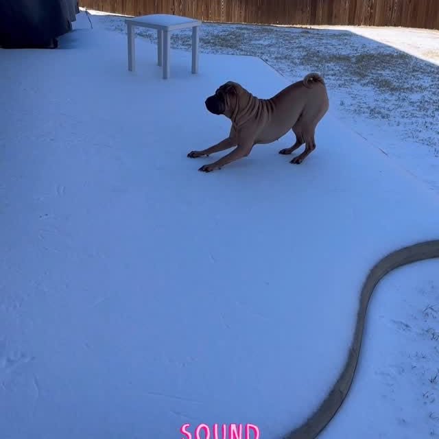  ......i.world   'recent posts' 